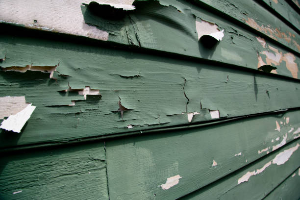 Best Demolition Debris Removal  in Everson, WA
